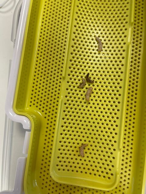 2 PHOTO-2021-11-12-16-49-35