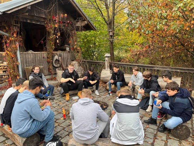 Mehr über den Artikel erfahren Auf den Spuren des Waldes