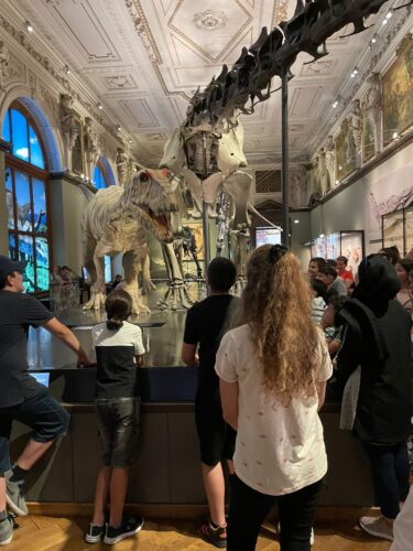 Naturhistorisches Museum 1B