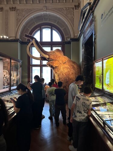 Besuch im Naturhistorischen Museum